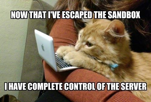 Scriptkitty2.jpg